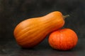 Mature bright pumpkins are located on a dark background