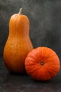 Mature bright pumpkins are located on a dark background