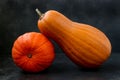 Mature bright pumpkins are located on a dark background