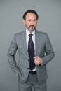 Mature businessman in formal suit. successful bank employee. boss in office jacket. bearded man well groomed Royalty Free Stock Photo
