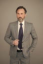 mature businessman in formal suit. successful bank employee. boss in office jacket. bearded man well groomed Royalty Free Stock Photo