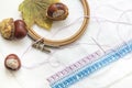 Mature chestnuts, autumn leaves and needlework on white background Royalty Free Stock Photo