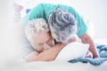 Mature couple having fun together in the bed under the cover laughing and joking as young. Youthful concept in elderly retired age Royalty Free Stock Photo