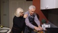 Mature couple in love making dinner. Elderly woman hugging from back husband cooking meal in kitchen Royalty Free Stock Photo