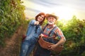 Mature couple picking grapes from vine, smiling, portrait Royalty Free Stock Photo