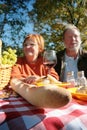 Mature couple at picnic table Royalty Free Stock Photo