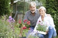 Mature Couple Planting Out Plants In Garden