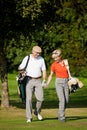 Mature couple playing Golf Royalty Free Stock Photo