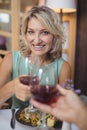 Mature couple toasting their glasses of red wine Royalty Free Stock Photo