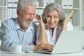 Mature couple using laptop Royalty Free Stock Photo