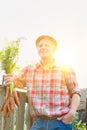 Mature farmer holding newly harvest carrots in field with yellow lens flare in background