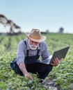 Farmer with laptop in field Royalty Free Stock Photo