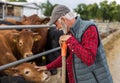 Farmer cuddling cows on farm Royalty Free Stock Photo
