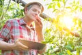 Mature farmer smelling tomato in greenhouse