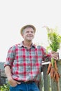 Mature farmer wearing hat while carrying carrots at barn Royalty Free Stock Photo