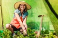 Woman with gardening tool working in greenhouse Royalty Free Stock Photo