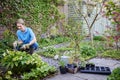 Mature Female Landscape Gardener Planting Plants In Garden Royalty Free Stock Photo