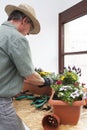 Mature gardener or florist preparing colorful flower pots