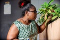 Mature gardener woman examining flowers Royalty Free Stock Photo