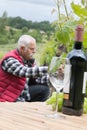 mature grape-picker in vineyard with clippers Royalty Free Stock Photo