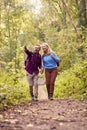 Mature Loving Couple In Countryside Hiking Along Path Through Forest Together Holding Hands