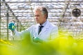 Mature male biochemist holding chemical in test tube with pipette in plant nursery