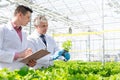 Mature male biochemists discussing over herb seedlings in plant nursery Royalty Free Stock Photo