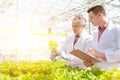 Mature male biochemists discussing over herb seedlings in plant nursery Royalty Free Stock Photo