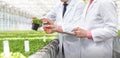 Mature male biochemists discussing over seedling in plant nursery