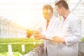 Mature male biochemists discussing over seedling in plant nursery