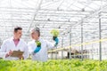 Mature male biochemists discussing over seedlings while standing in plant nursery Royalty Free Stock Photo