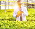 Mature male biochemists examining herb seedlings in plant nursery