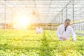 Mature male biochemists examining seedlings in plant nursery