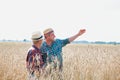 Mature male farmer showing showing wheat corp to senior farmer in field