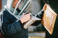 Senior man beekeper collecting honey from honeycomb Royalty Free Stock Photo