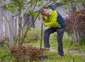 Mature Man Digs Hole In New York Garden Royalty Free Stock Photo