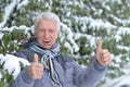 Mature man in good mood Royalty Free Stock Photo