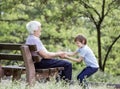 Mature man and his granson playing in summer park Royalty Free Stock Photo