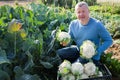 Man horticulturist showing harvest of cauliflower in garden Royalty Free Stock Photo