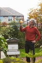 Mature Man Looking At Honey Produced By His Own Bees