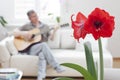 Mature man playing guitar for his wife in a bright living room at home Royalty Free Stock Photo