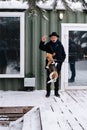 Mature man playing with a happy beagle dog, teasing her with food, making jump Royalty Free Stock Photo