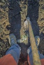 Man reforesting over burned soil Royalty Free Stock Photo