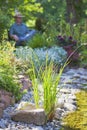 Mature man sitting on a bench by a pond in a garden with colorful flowers Royalty Free Stock Photo