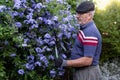 Mature man using hedge shears for pruning bush with flowers at the back of his garden