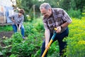 Mature Man and woman gardeners with shovels while gardening