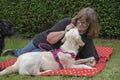 Mature owner playing with golden retriever puppy on red picnic blanket outdoors Royalty Free Stock Photo