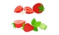 Mature Red Strawberry Whole and Half with Leaves and Blossom Vector Set Royalty Free Stock Photo
