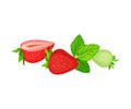 Mature Red Strawberry Whole and Half with Leaves Vector Illustration