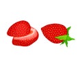 Mature Red Strawberry Whole and Half with Leaves Vector Illustration